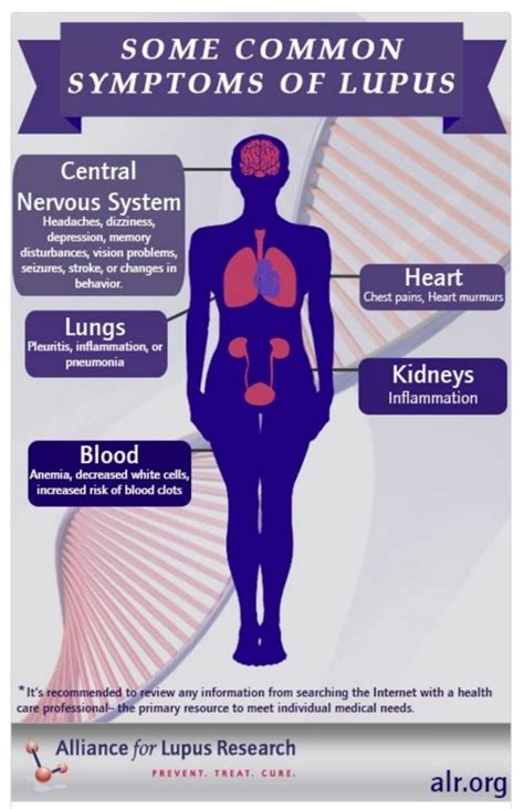 organ attack|does lupus attack organs.